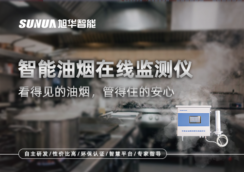 智能油烟在线监测仪：看得见的油烟，管得住的安心
